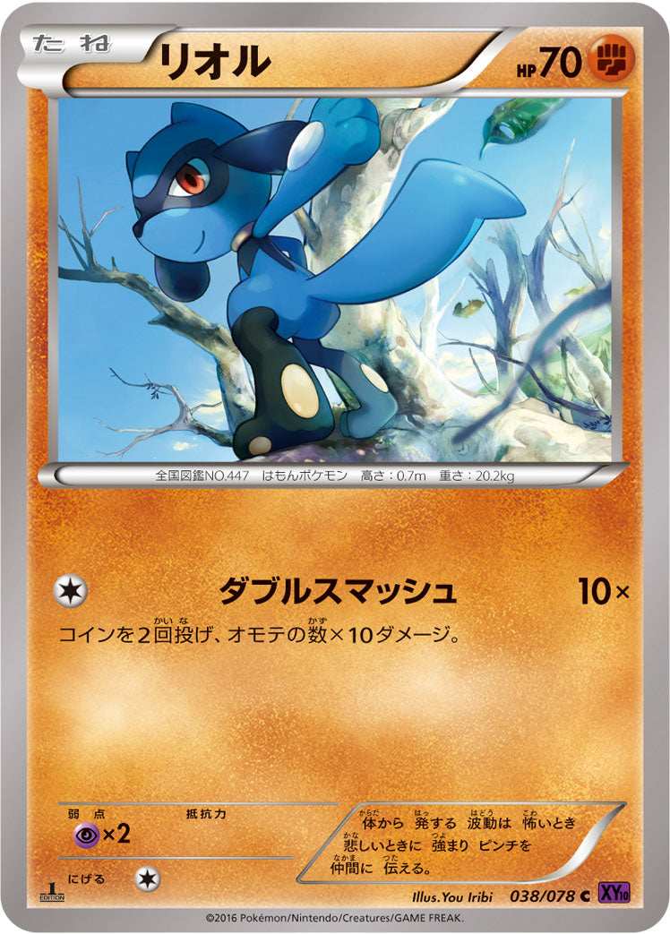 リオル [C_038/078_XY10-B]