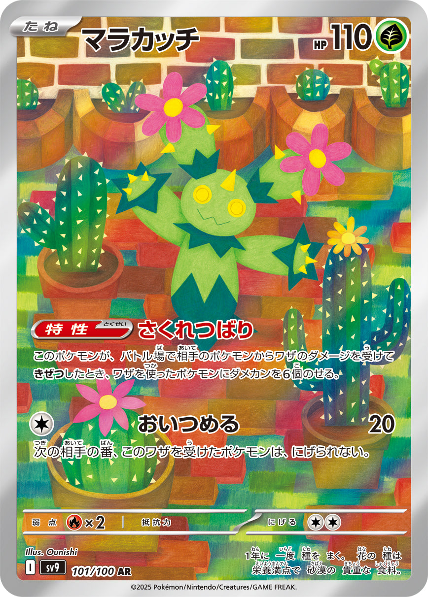 マラカッチ [AR_101/100_SV9]