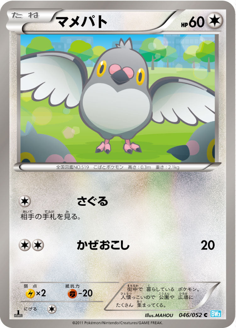 マメパト [C_046/052_BW3-Bh]