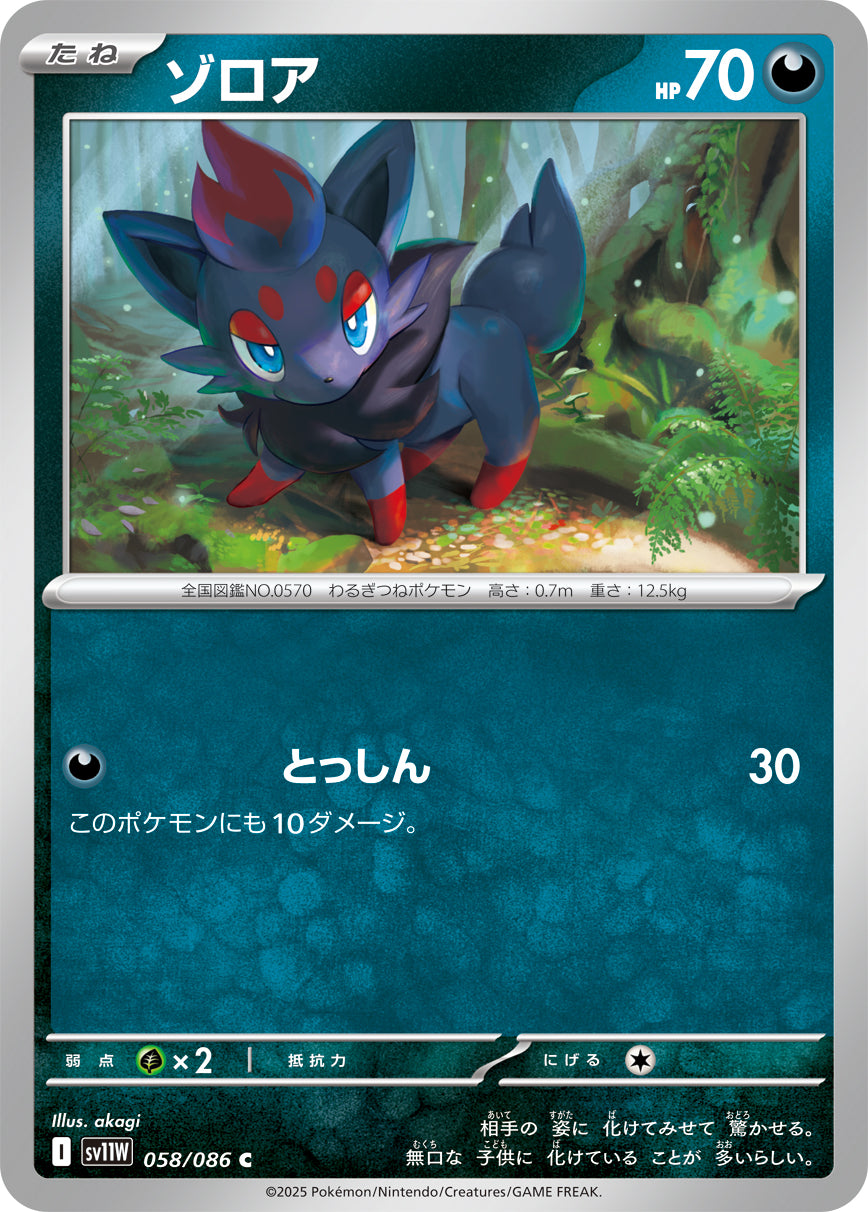 ゾロア [C_058/086_SV11W]