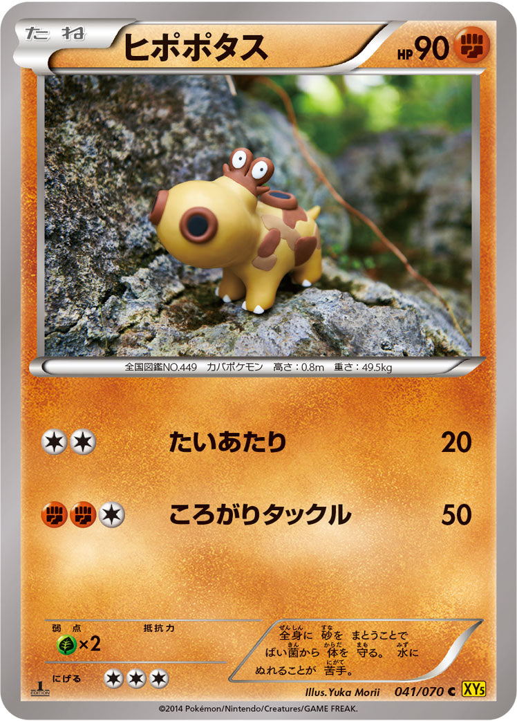 ヒポポタス [C_041/070_XY5-Bg]