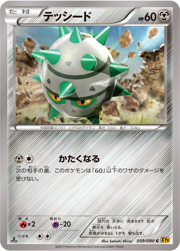 テッシード [C_059/080_XY9-B]
