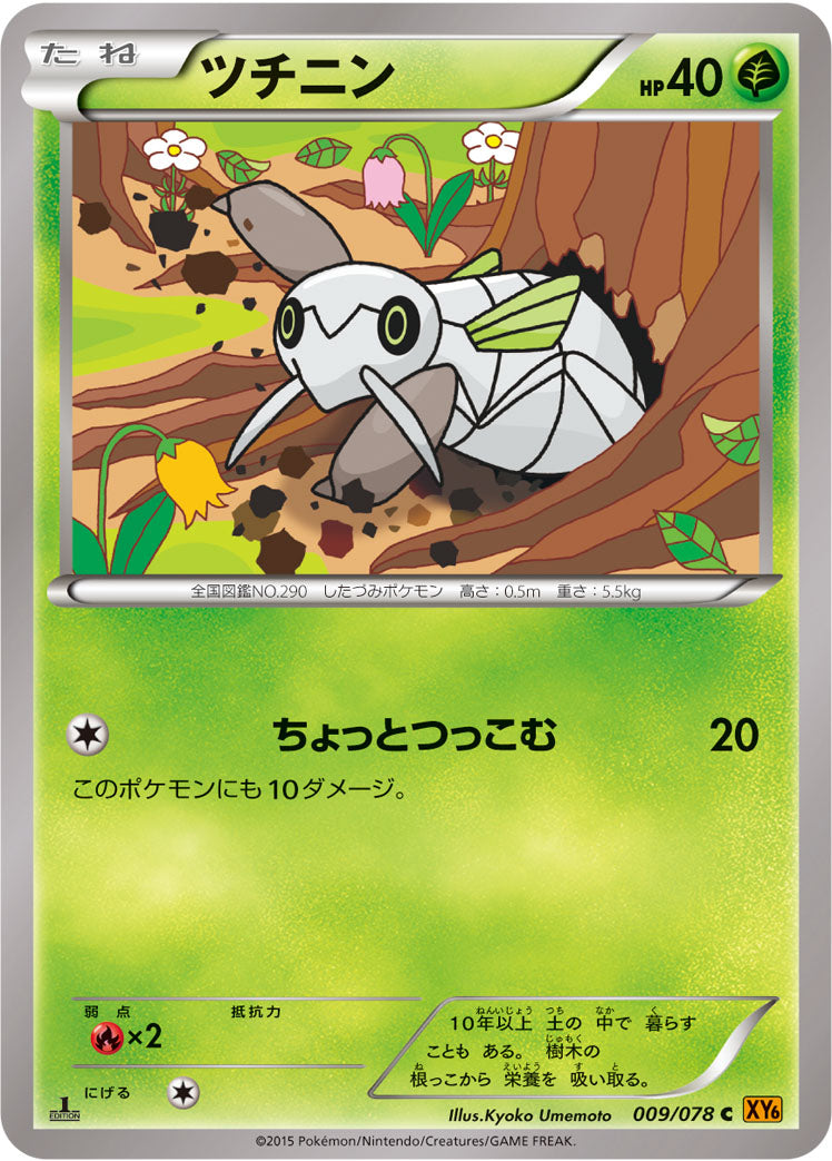 ツチニン [C_009/078_XY6-B]