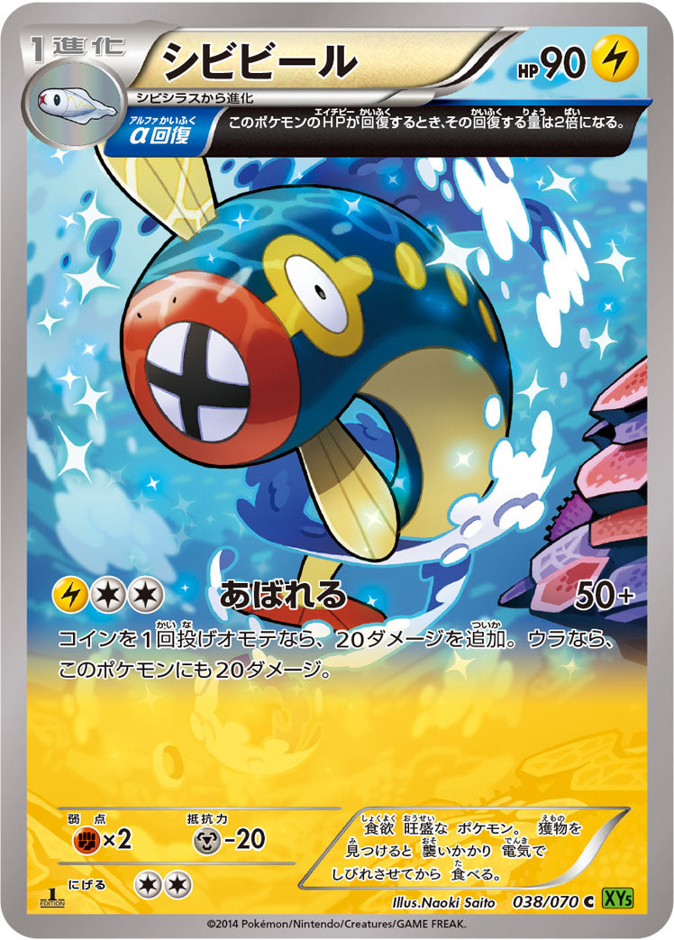 シビビール [C_038/070_XY5-Bt]