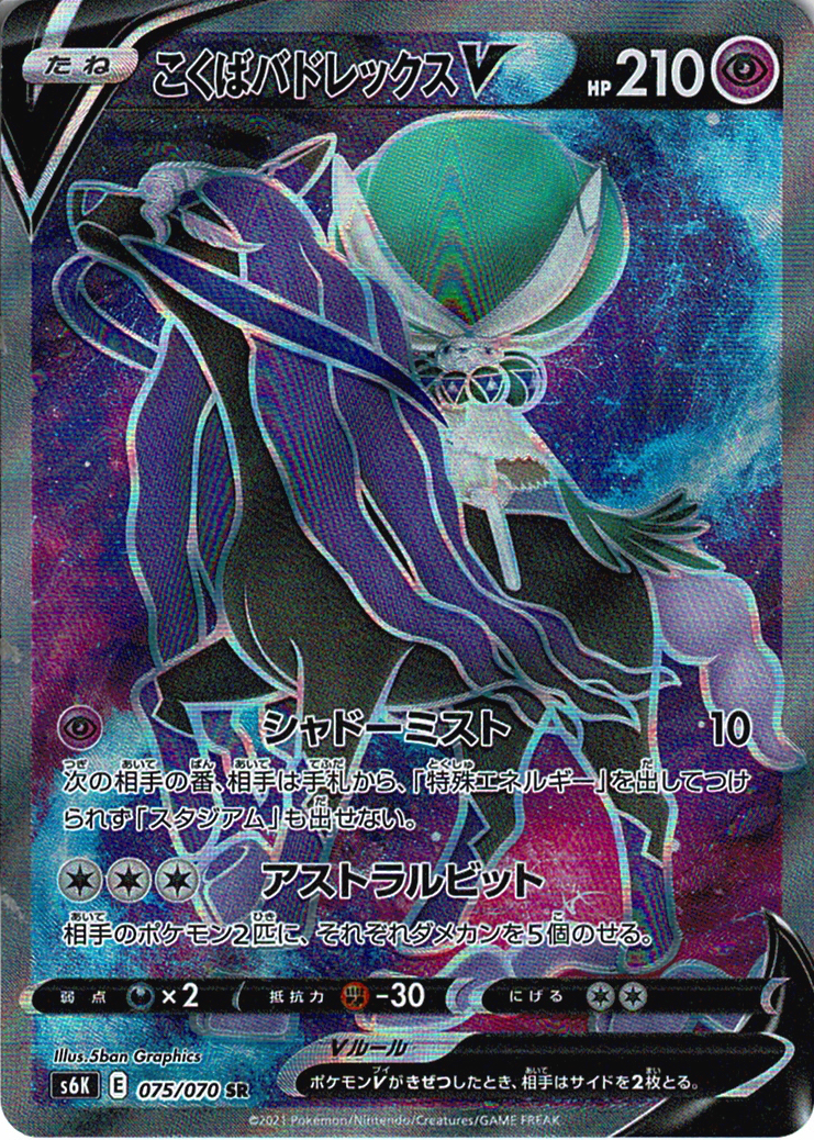 こくばバドレックスV [SR_075/070_S6K]