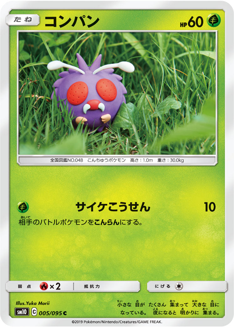 コンパン [C_005/095_SM10]