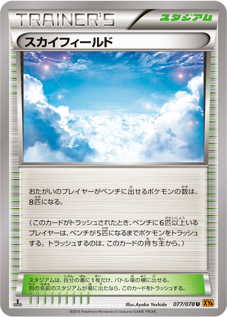 スカイフィールド [U_077/078_XY6-B]