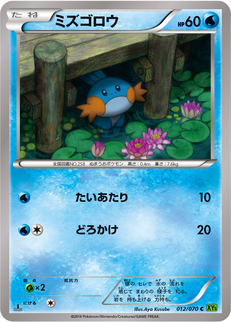ミズゴロウ [C_012/070_XY5-Bt]
