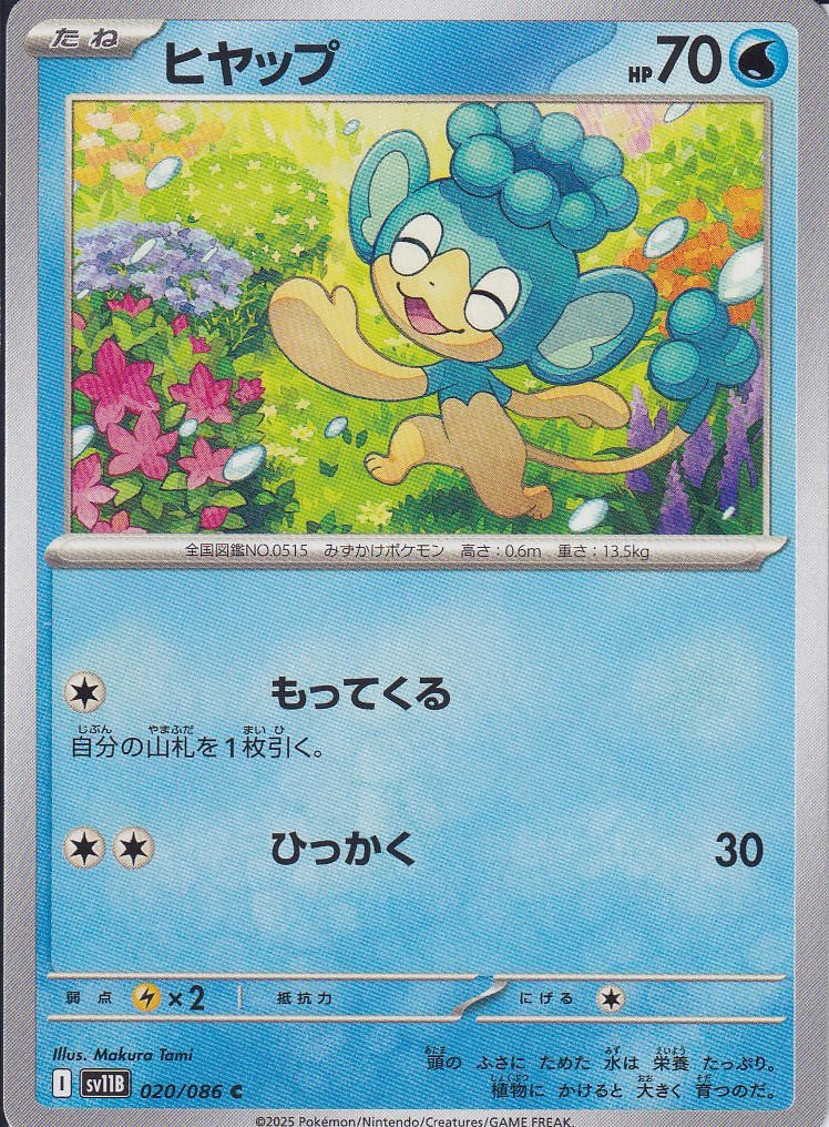 ヒヤップ [C_020/086_SV11B]