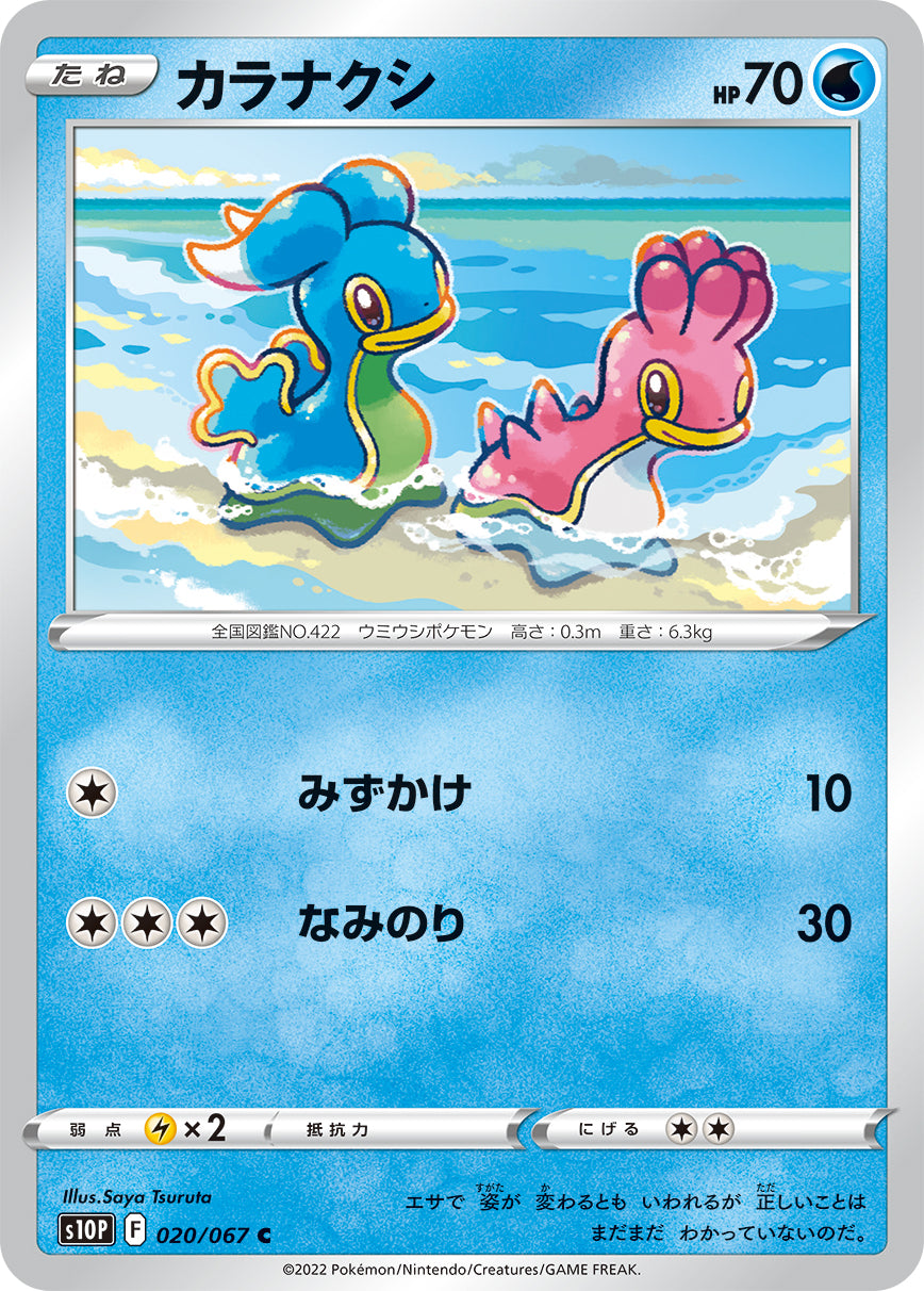 カラナクシ [C_020/067_S10P]