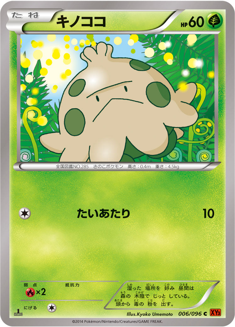 キノココ [C_006/096_XY3]