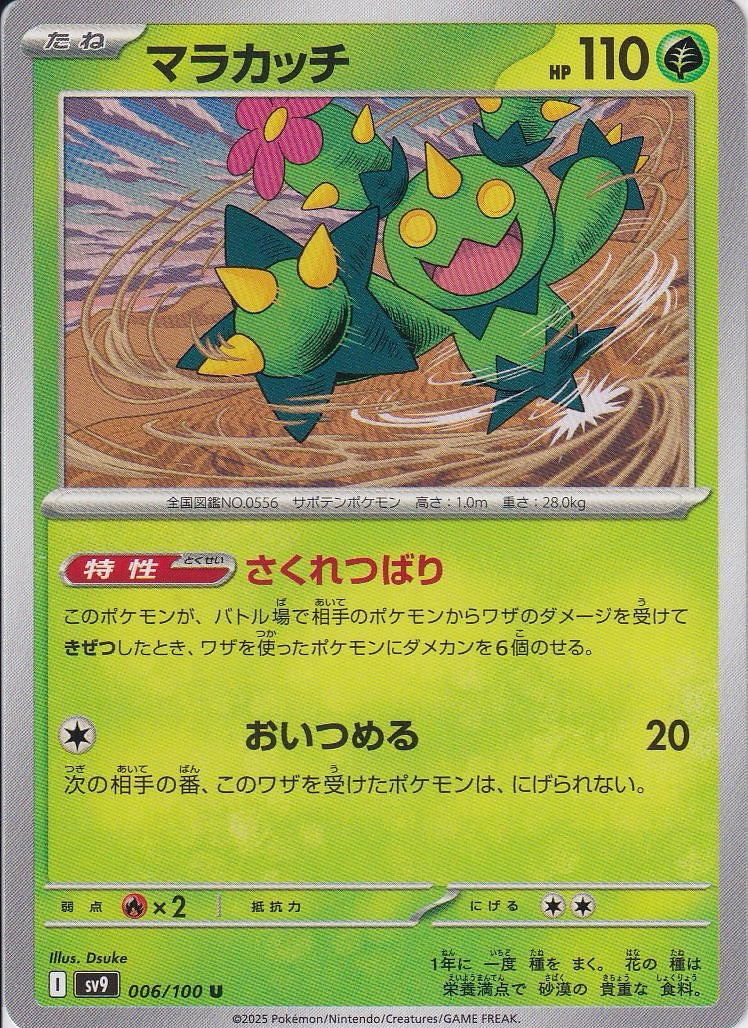 マラカッチ [U_006/100_SV9]