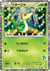 ツタージャ [-_001/037_HSt]