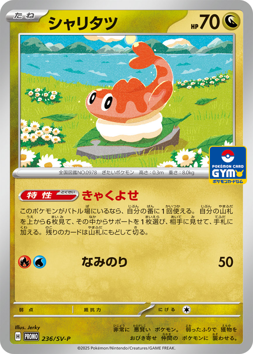 シャリタツ [236/SV-P_SV-P]