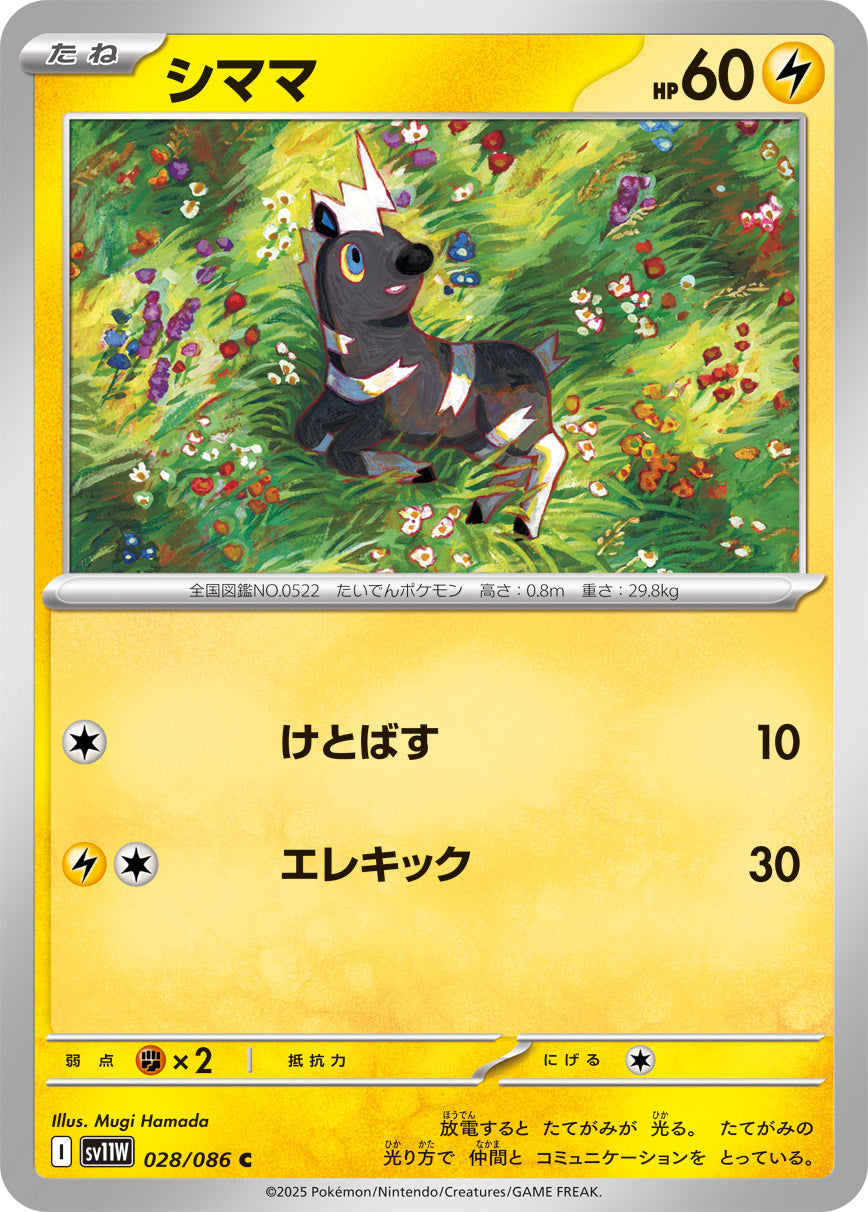 シママ [C_028/086_SV11W]