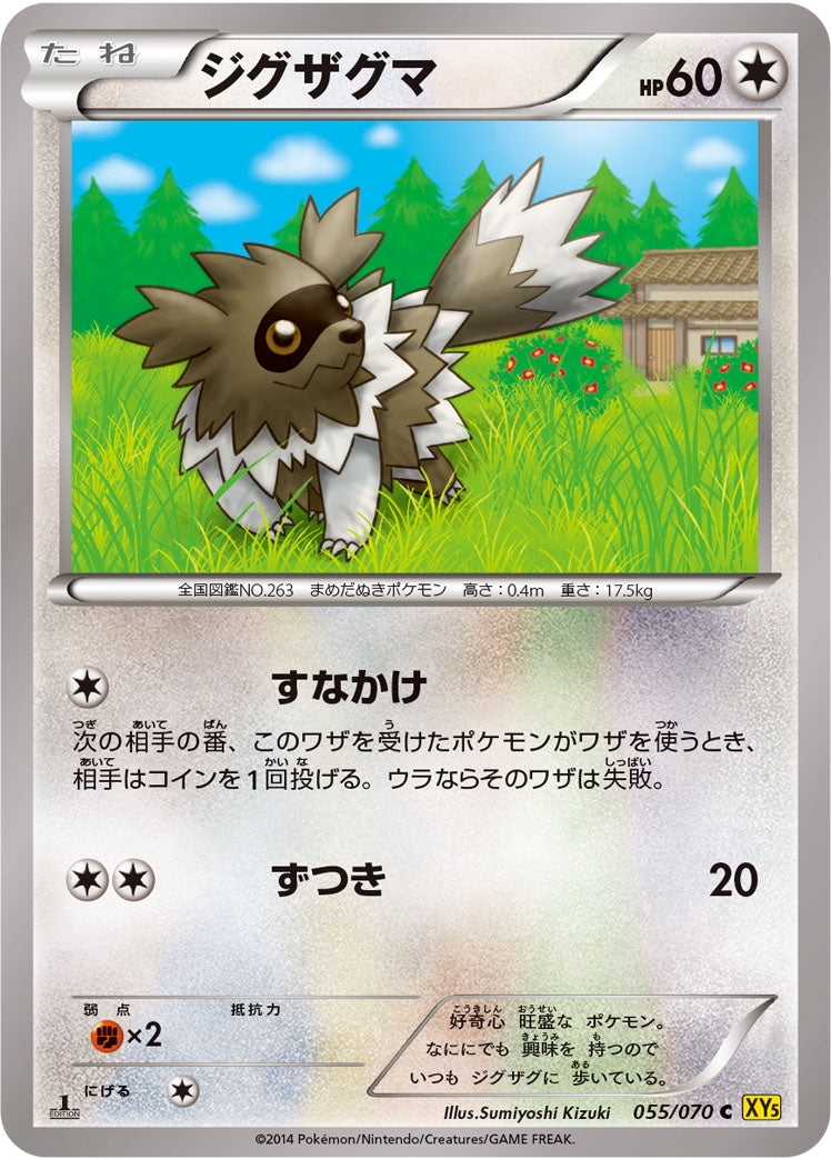 ジグザグマ [C_055/070_XY5-Bg]