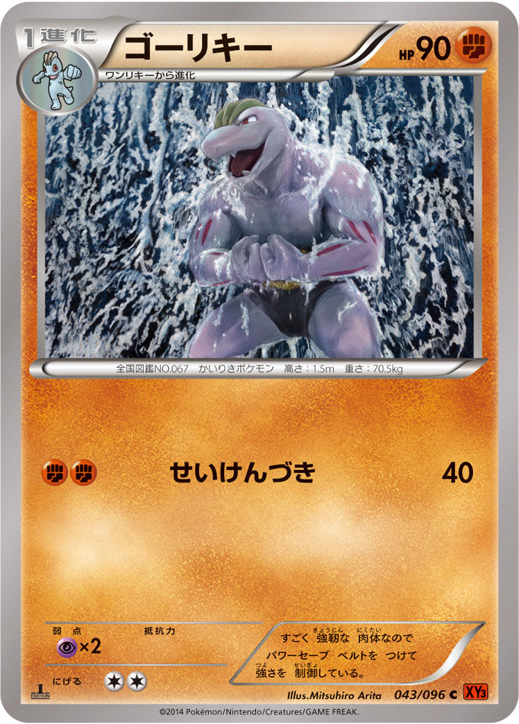 ゴーリキー [C_043/096_XY3]