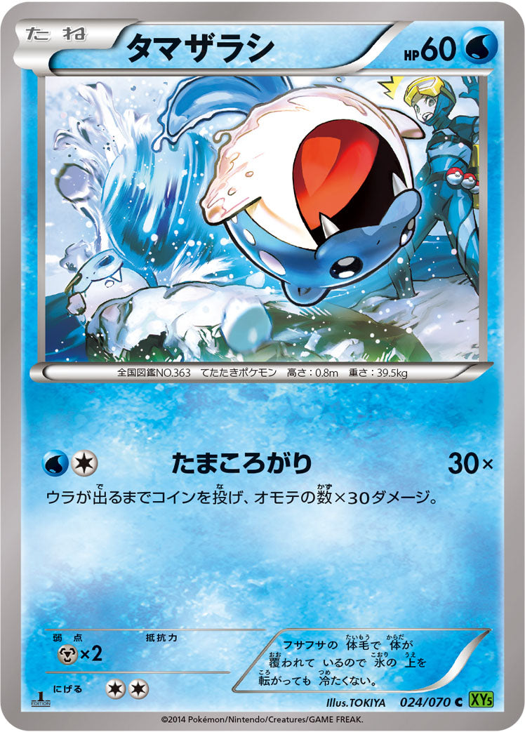 タマザラシ [C_024/070_XY5-Bt]