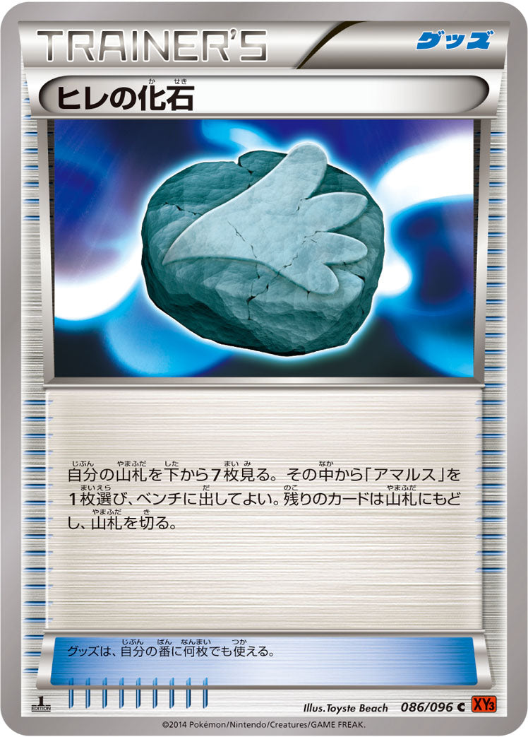 ヒレの化石 [C_086/096_XY3]
