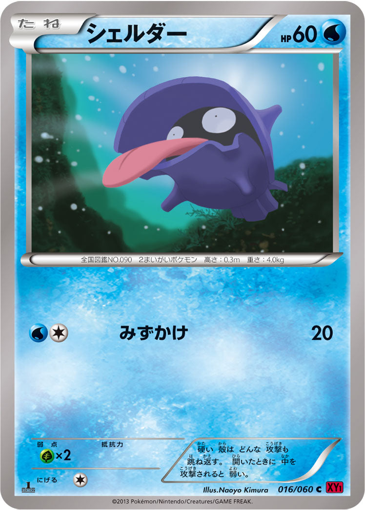 シェルダー [C_016/060_XY1-By]