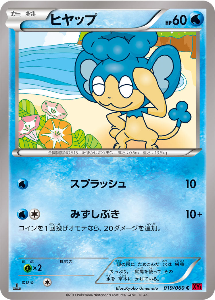 ヒヤップ [C_019/060_XY1-By]