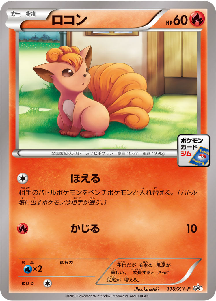 ロコン [110/XY-P_XYP]
