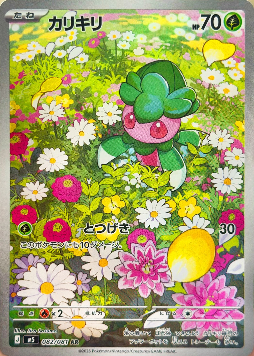 カリキリ [AR_082/081_M5]