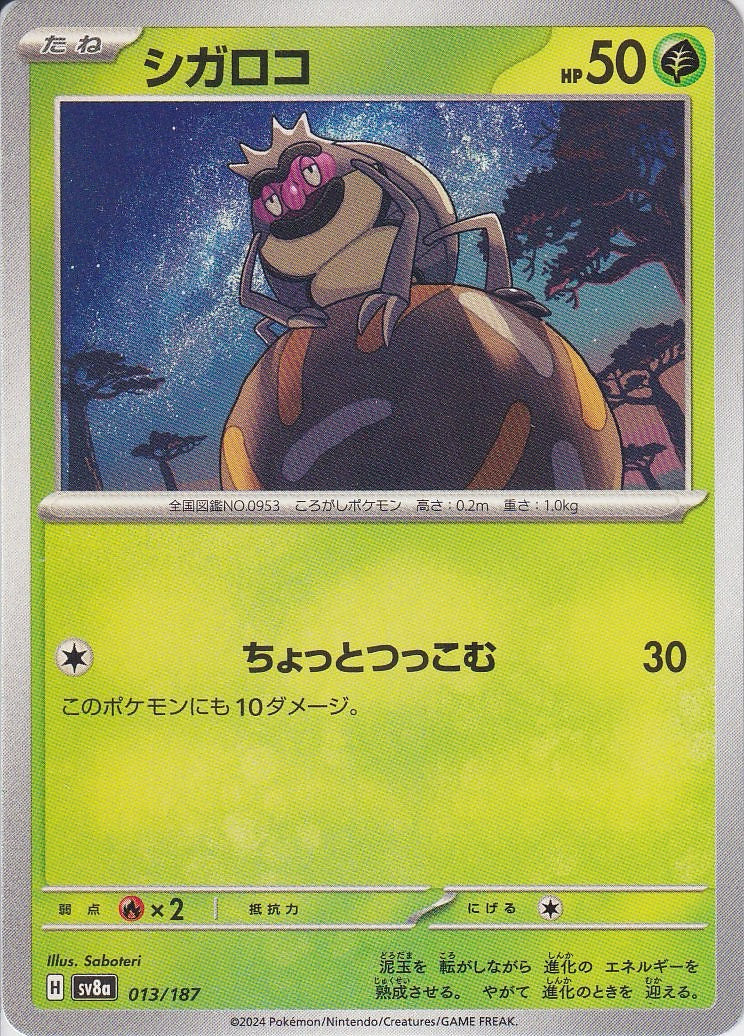 シガロコ [-_013/187_SV8a]