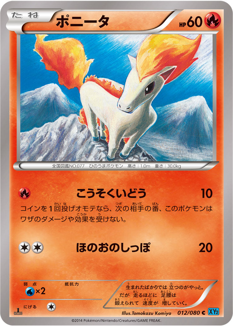 ポニータ [C_012/080_XY2]