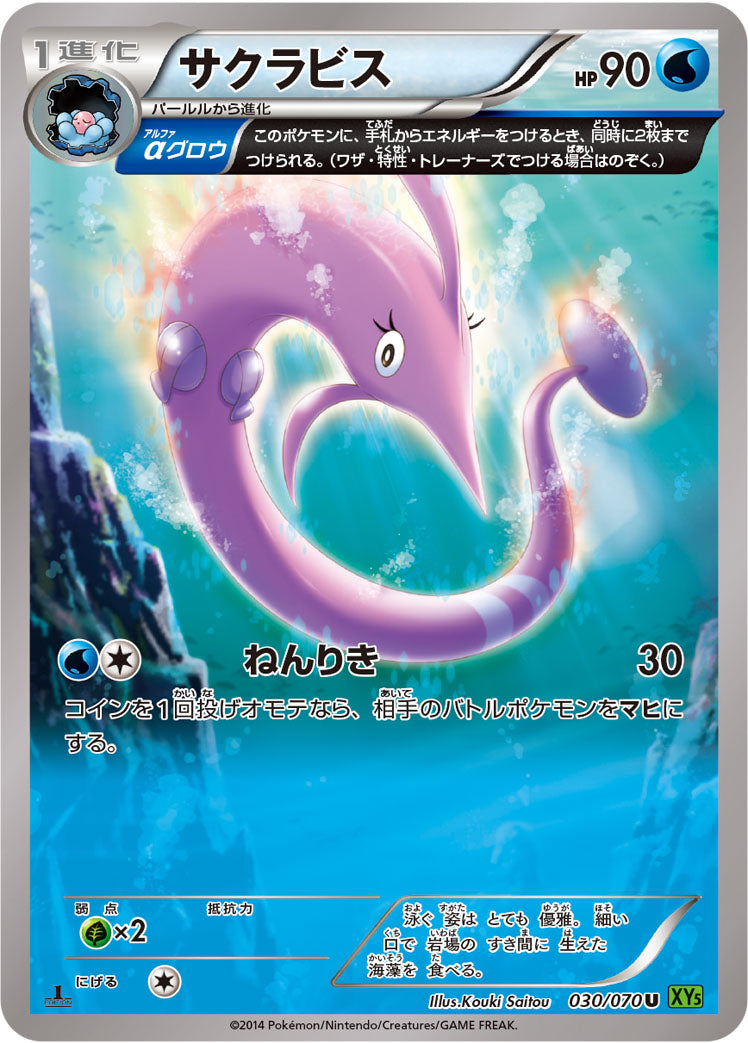 サクラビス [U_030/070_XY5-Bt]