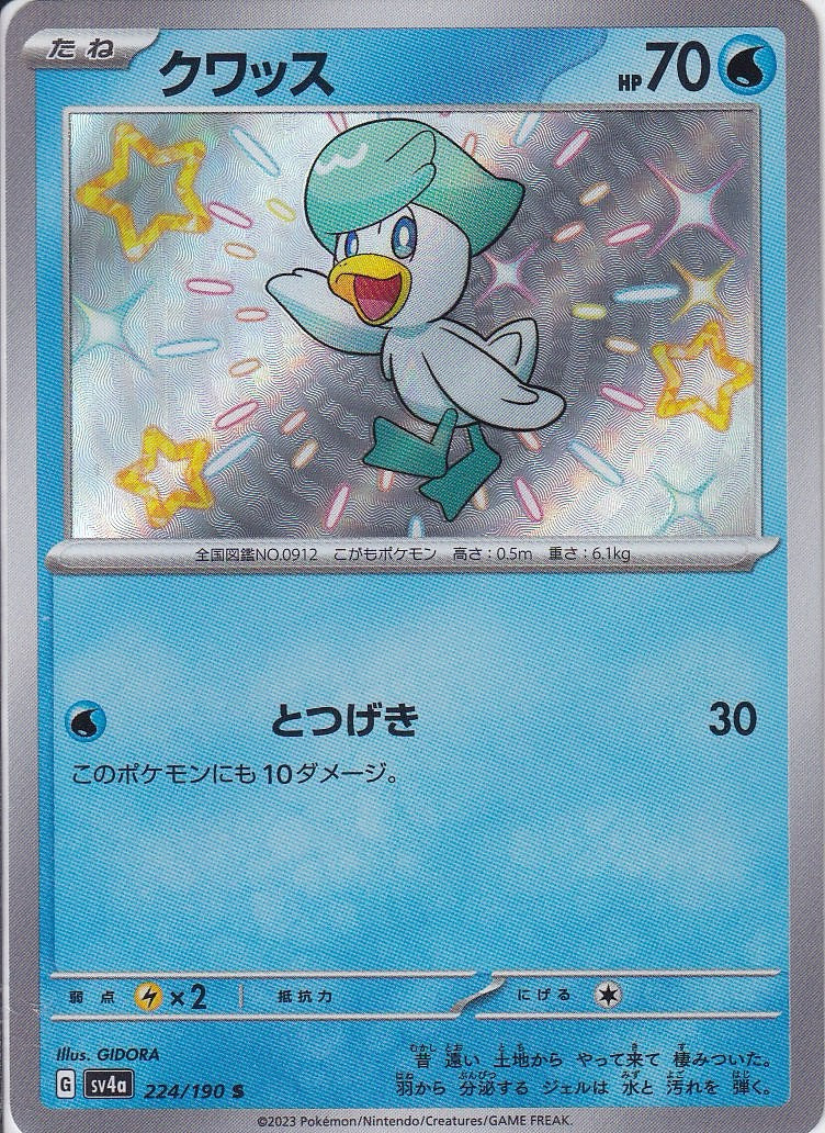 クワッス [S_224/190_SV4a]