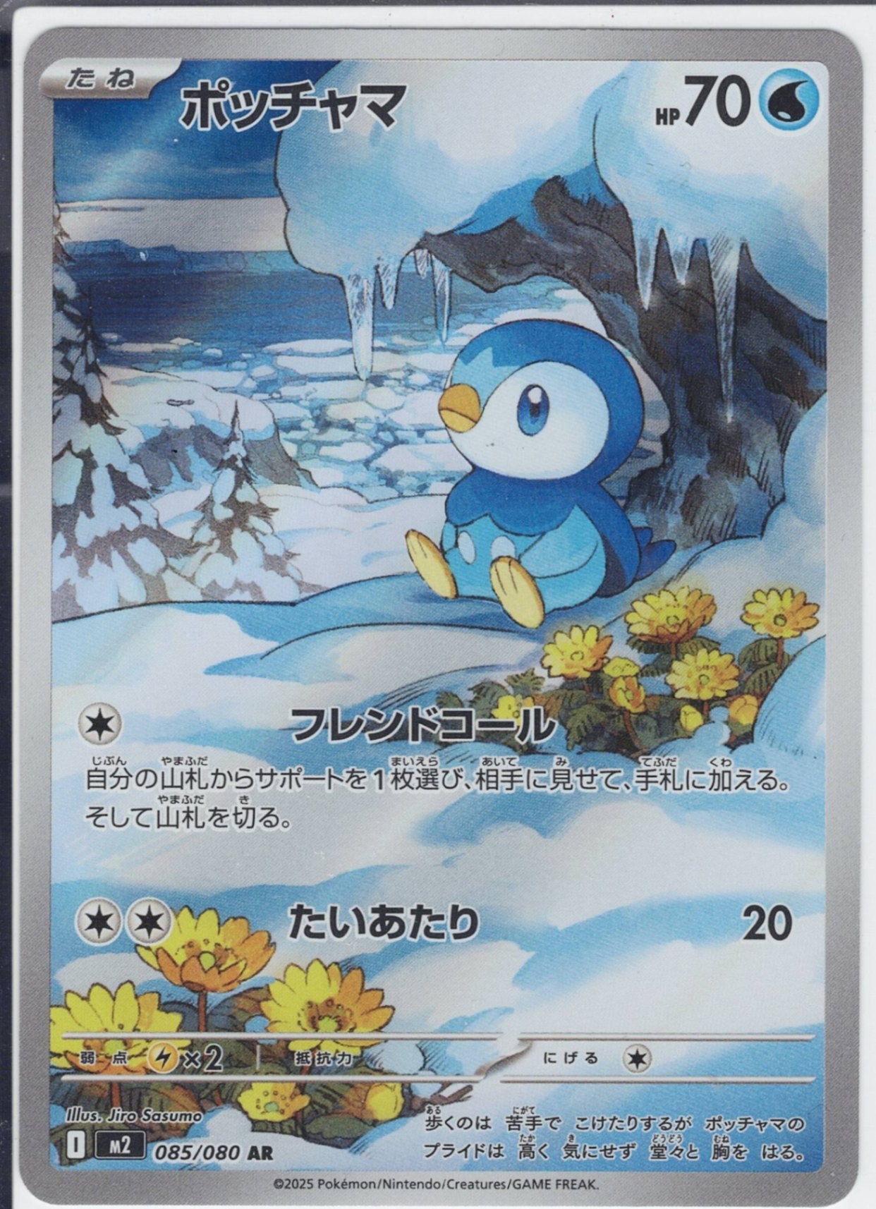 ポッチャマ [AR_085/080_M2]