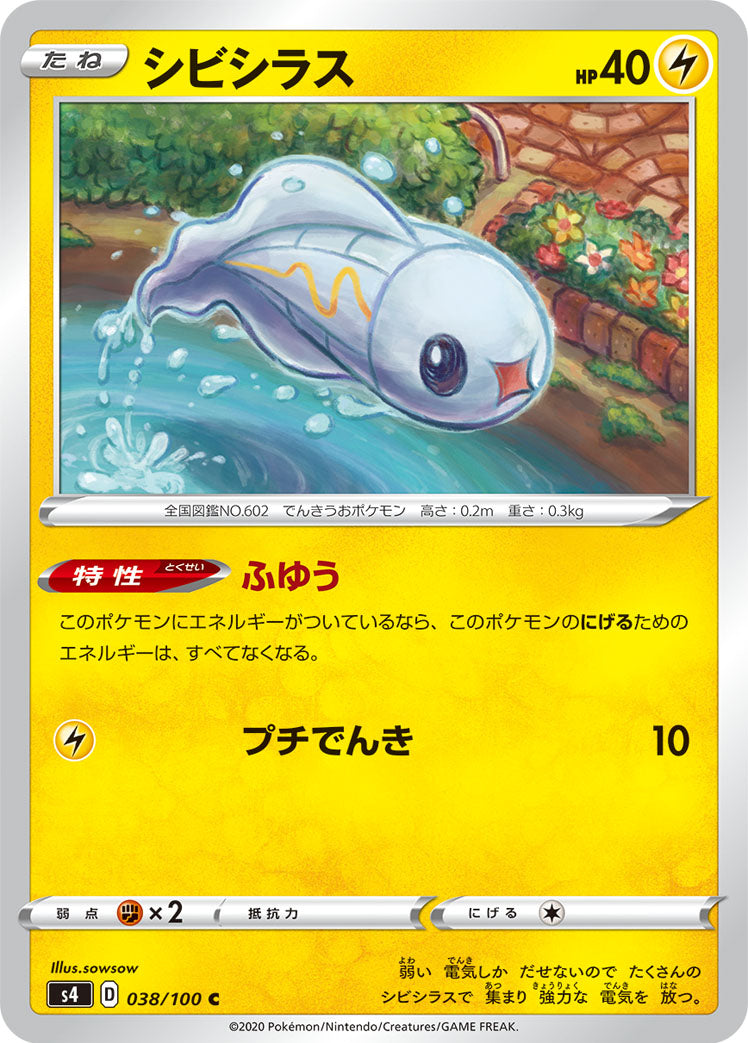 シビシラス [C_038/100_S4]