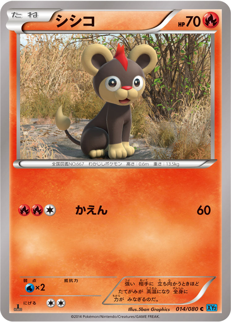 シシコ [C_014/080_XY2]