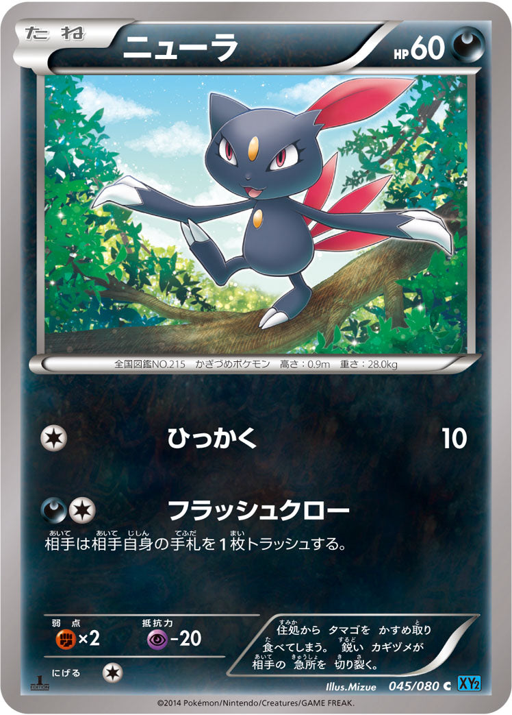 ニューラ [C_045/080_XY2]
