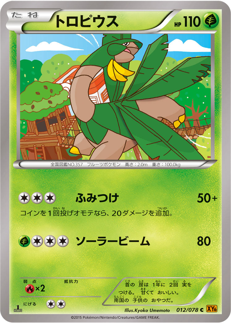 トロピウス [C_012/078_XY6-B]