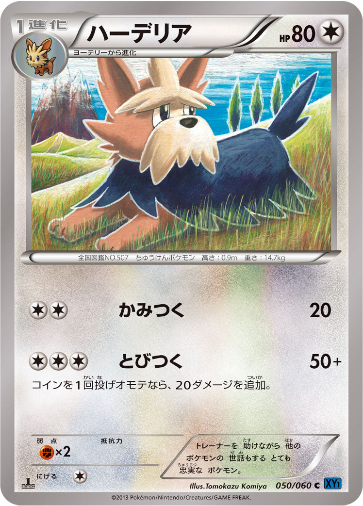 ハーデリア [C_050/060_XY1-Bx]