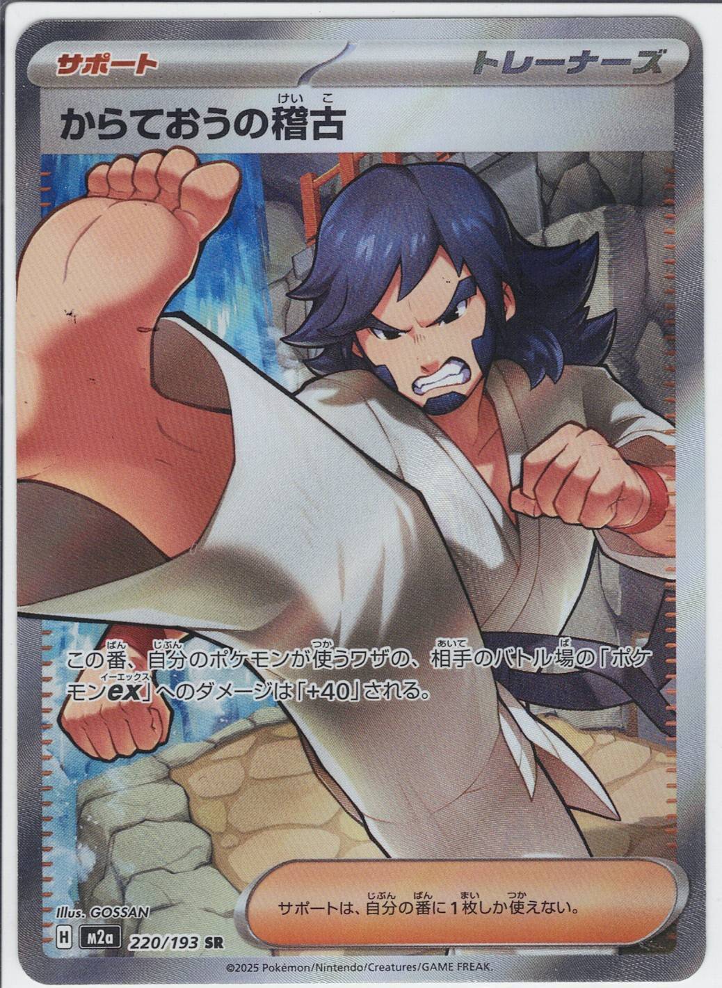 からておうの稽古 [SR_220/193_M2a]