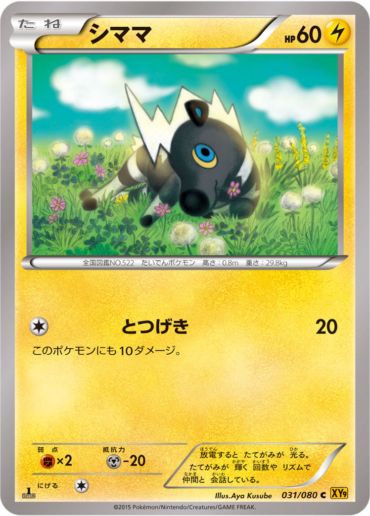 シママ [C_031/080_XY9-B]