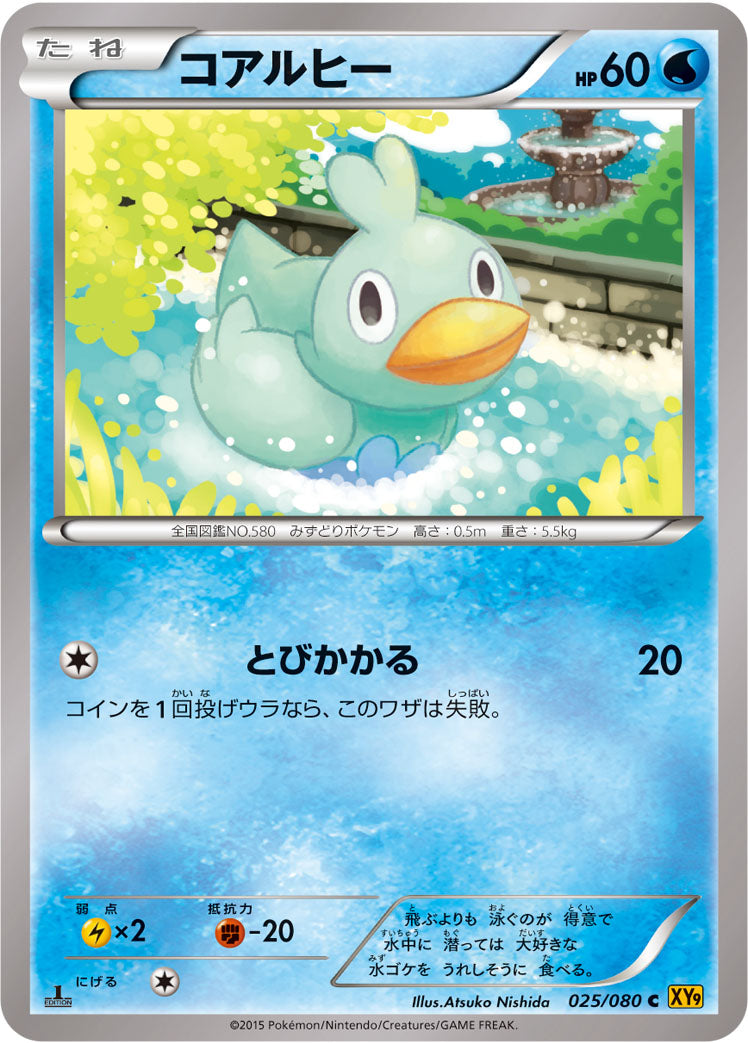 コアルヒー [C_025/080_XY9-B]