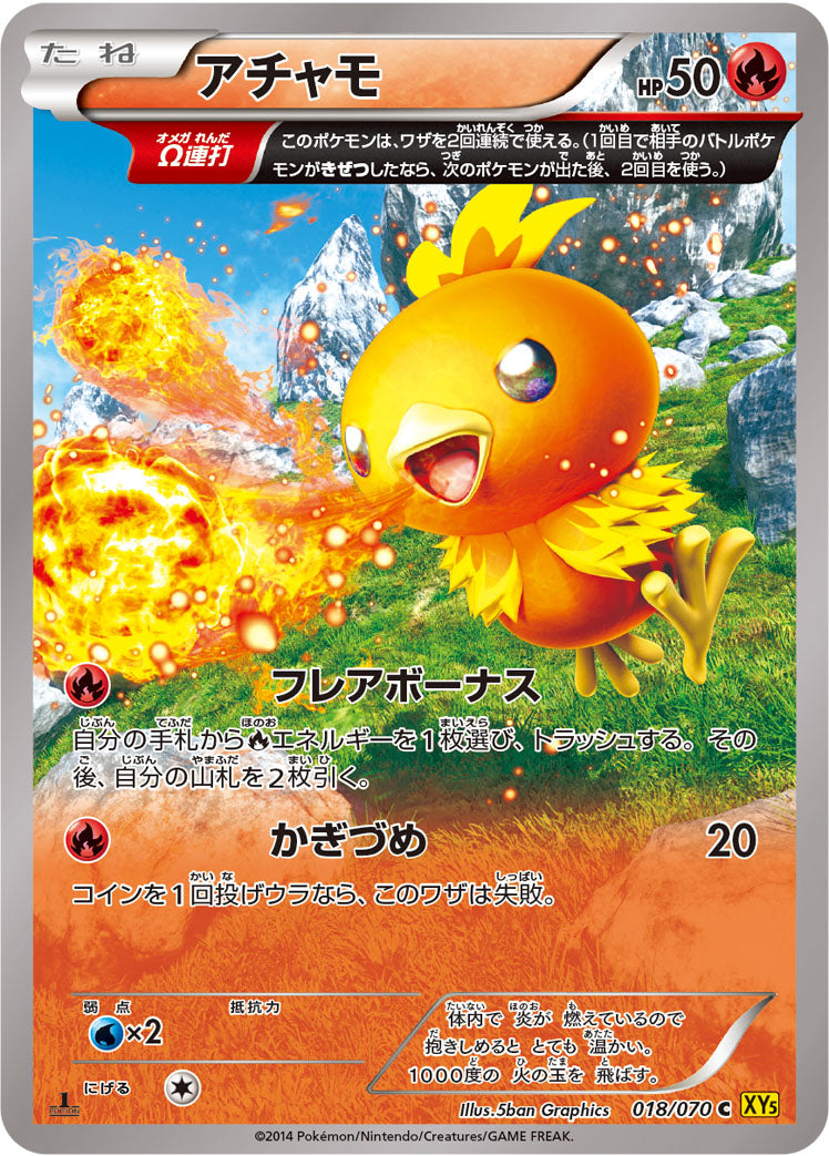 アチャモ [C_018/070_XY5-Bg]