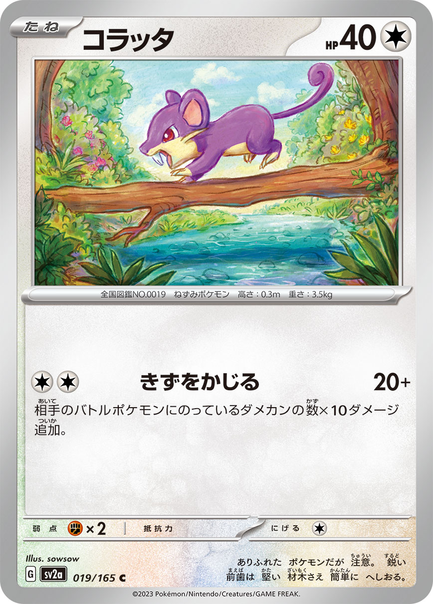 コラッタ [C_019/165_SV2a]