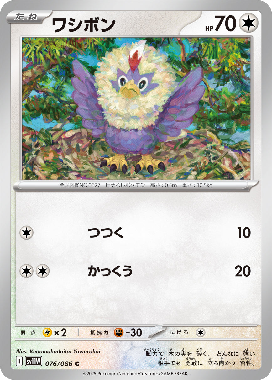 ワシボン [C_076/086_SV11W]