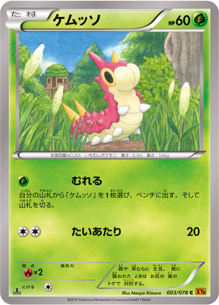 ケムッソ [C_003/078_XY6-B]
