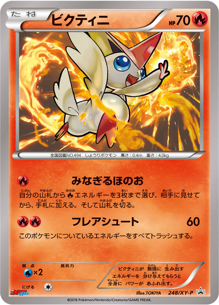 ビクティニ [248/XY-P_XYP]