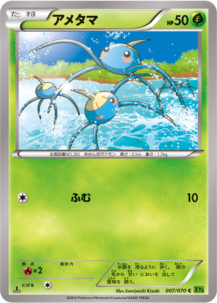 アメタマ [C_007/070_XY5-Bt]