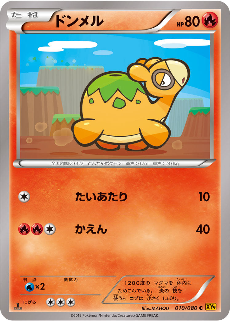 ドンメル [C_010/080_XY9-B]