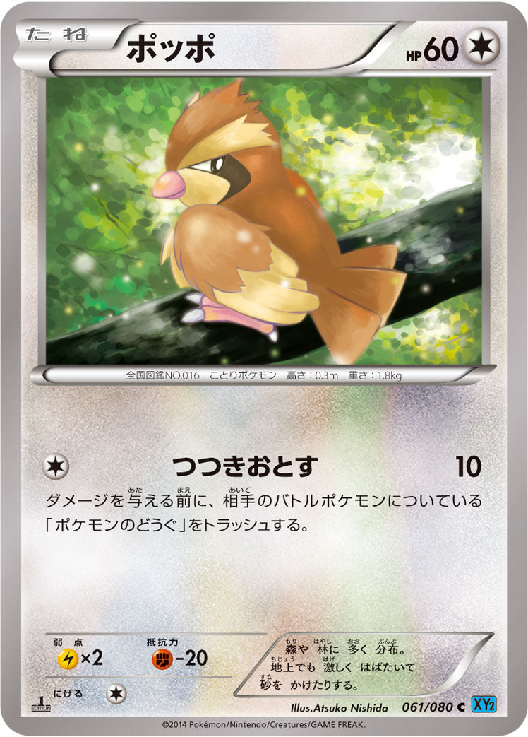 ポッポ [C_061/080_XY2]