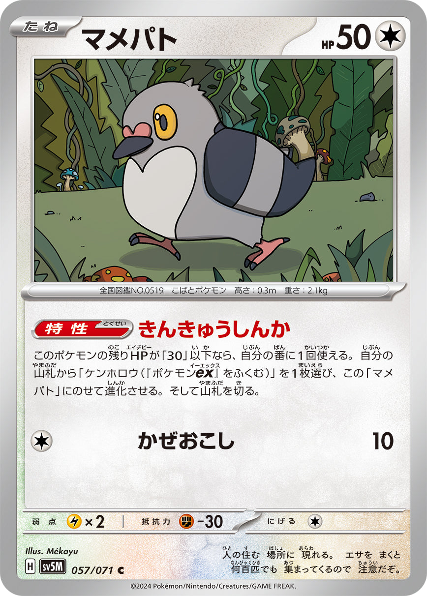 マメパト [C_057/071_SV5M]
