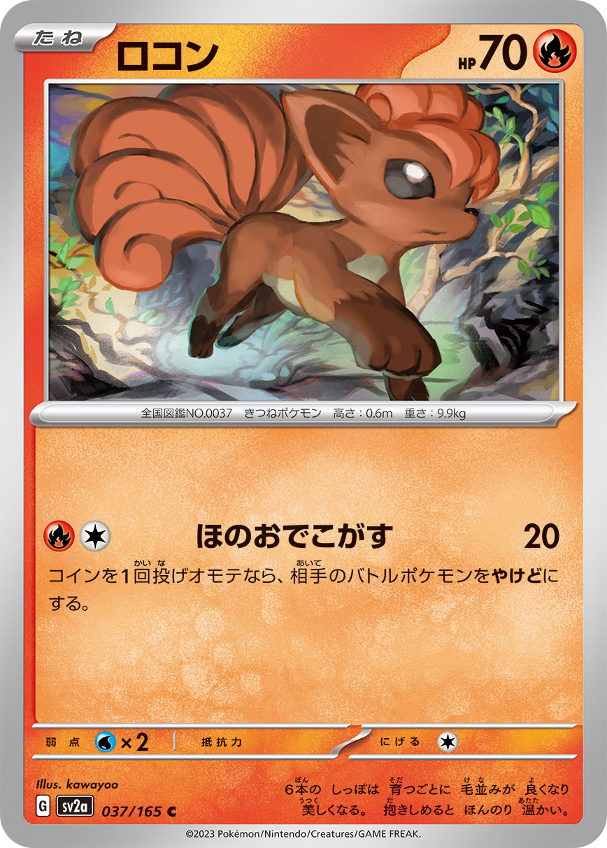 ロコン [C_037/165_SV2a]
